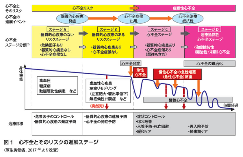 日本循環器学会のガイドラインに示されている心不全診療の概念図